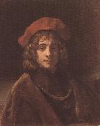 REMBRANDT Harmenszoon van Rijn Portrait of Titus (mk33) oil painting on canvas